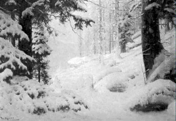 Winterwald Im Zarten Licht Des Abendrots - view 1