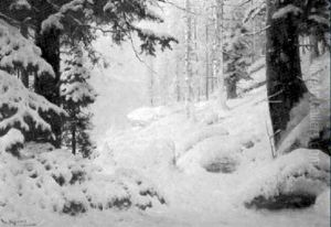 Winterwald Im Zarten Licht Des Abendrots