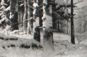 Vinterlandskab Med Solbeskinnede Traeer