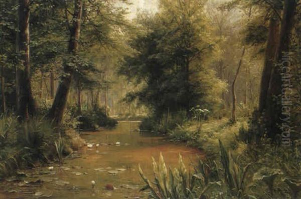 Fluss In Waldlandschaft - view 1