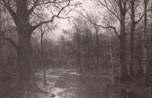 Herbstliche Spreewaldlandschaft - view 1