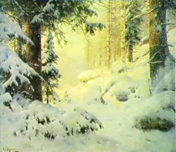 Im Winterwald - view 1