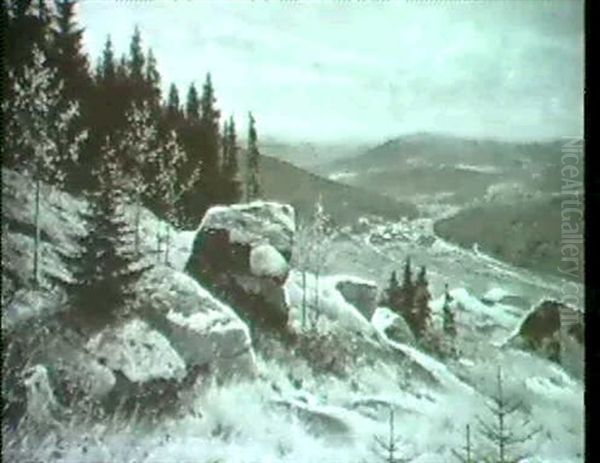 Harzlandschaft. - view 1