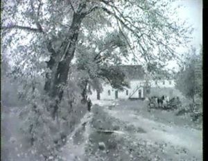 Bauerngehoft, Davor Bauerin, Ganse Und Pferdefuhrwerk by Walter Moras