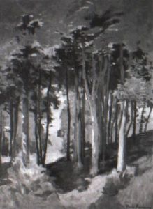 Sous-bois Aux Plomarch Sous-bois Aux Plomarch