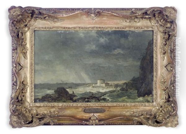 A Rocky Coastline - view 1
