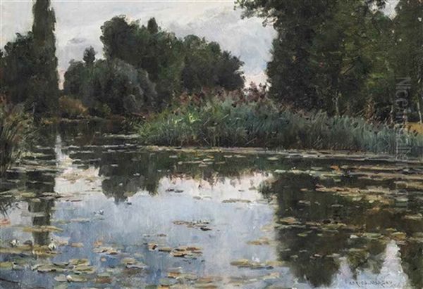 The Lily Pond - view 1