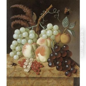 Still Life With Peaches, Apricots, Grapes, Berries, A Fly And A Butterfly On A Marble Ledge by Jan Evert Morel the Elder