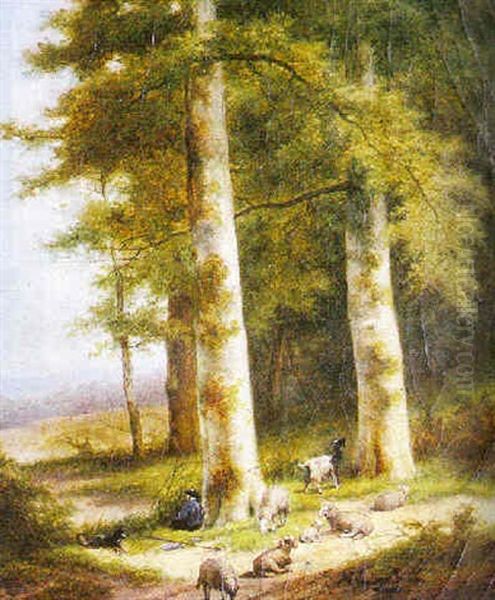 A Resting Shepherd And His Flock - view 1