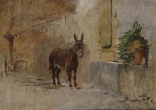 Burro - view 1