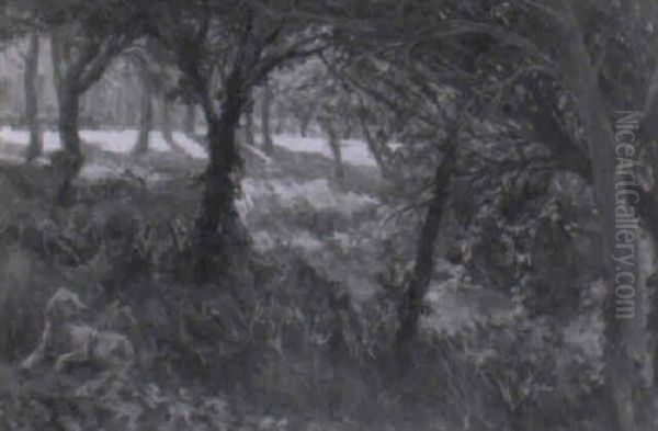 Bosque Con Perro - view 1