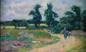 Paysanne Sur Une Petite Route De Bretagne