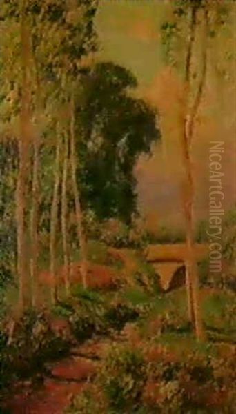 Paysage - view 1