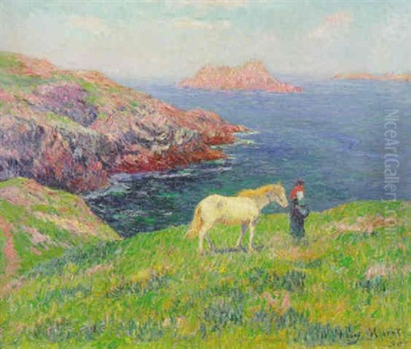 Falaise A Ouessant - view 1