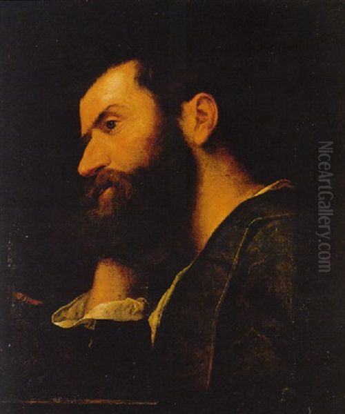 Retrato De Un Hombre (el Poeta Pietro Aretino?) Apoyando Su Cabeza Sobre La Mano Derecha - view 1