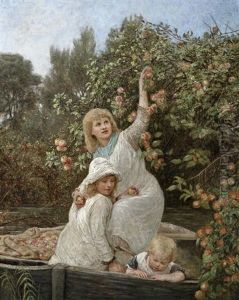 Picking Apples