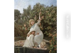 Picking Apples