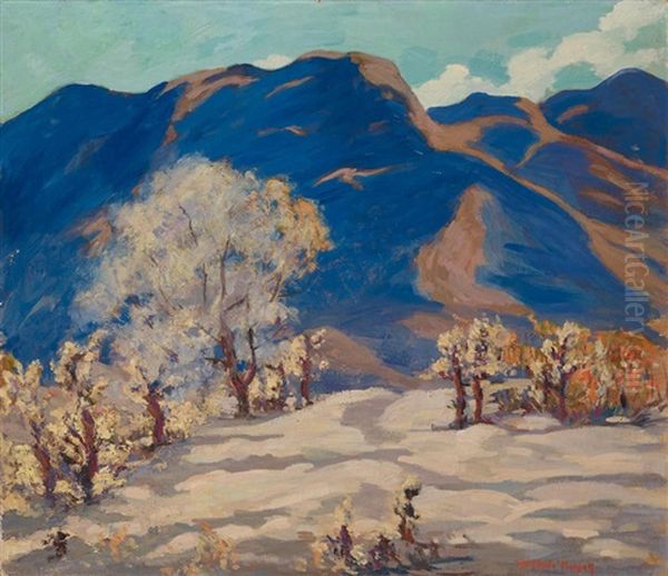Near Palm Canyon - view 1