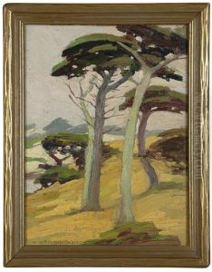 Coastal Cypress Landscape