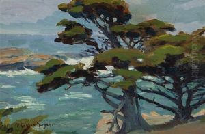 Coastal Cypress