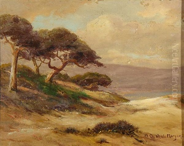 Cyprus On The Monterey Beach - view 1