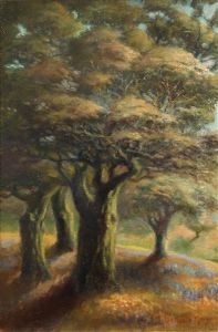 California Trees by Mary Deneale Morgan