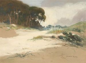 Carmel Dunes And Coastal Trees by Mary Deneale Morgan