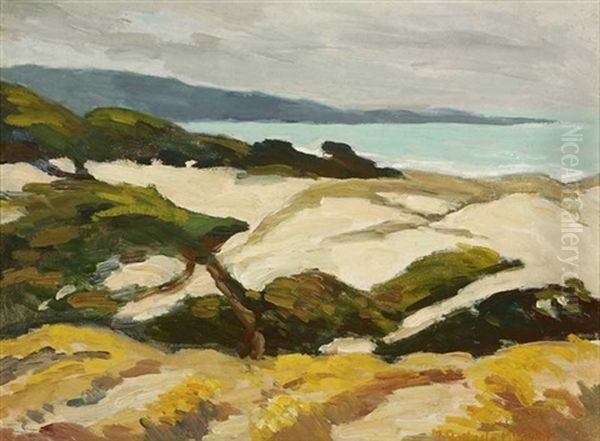 Carmel Coastal - view 1