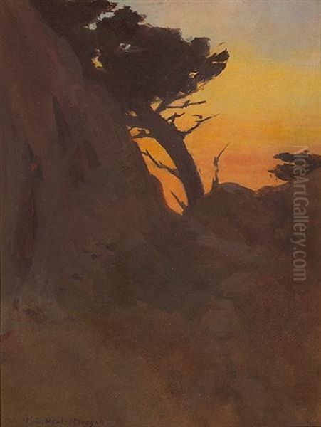 Point Lobos After Glow Sunset - view 1