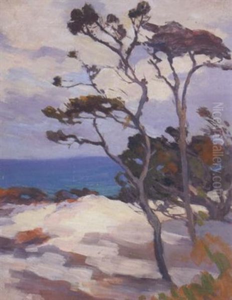Gray Day, Sand Dune (no.50) - view 1