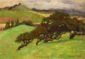 Landscape Landscape