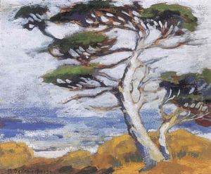 Monterey Cypress by Mary Deneale Morgan