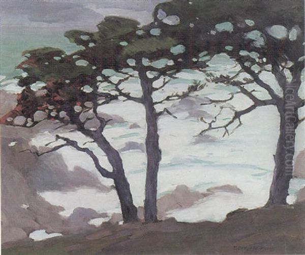 Rainy Day, Cypress - view 1