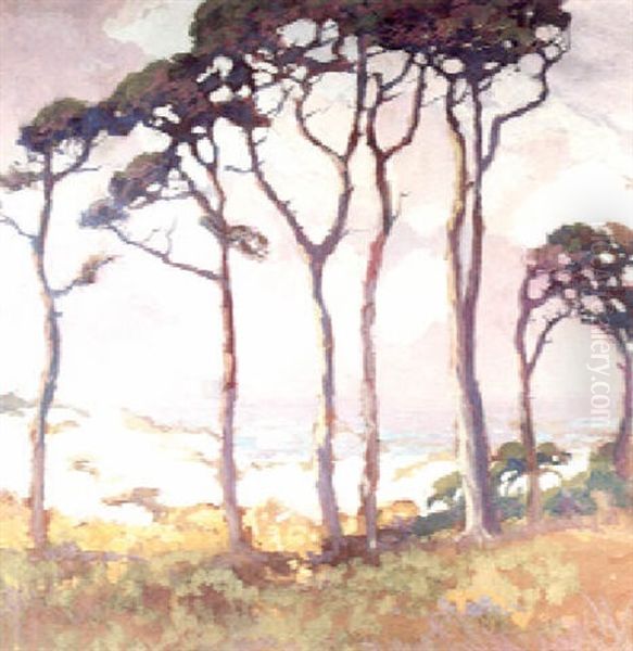 Tall Pines Near Lighthouse - view 1