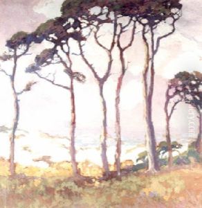 Tall Pines Near Lighthouse