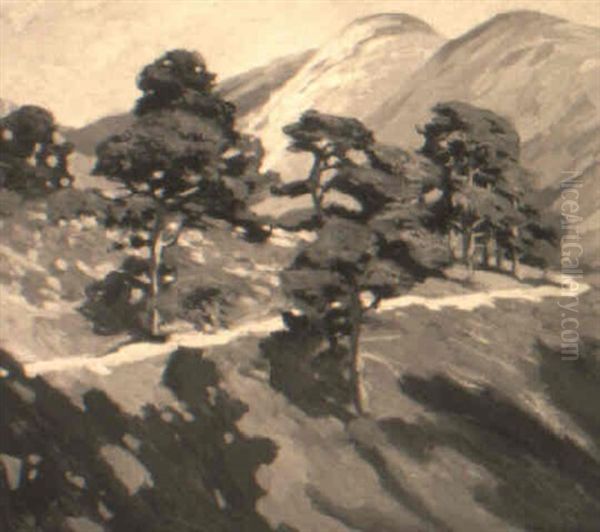 Hills And Shadows - view 1