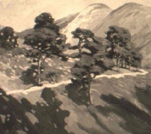 Hills And Shadows Hills And Shadows