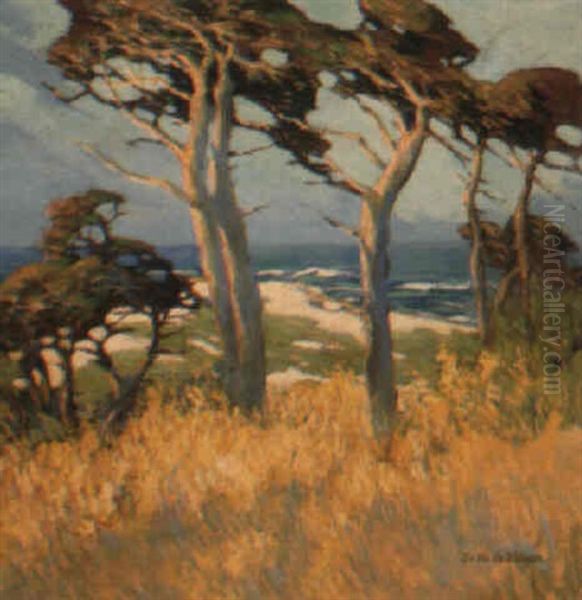 Near Point Lobos - view 1
