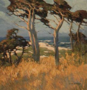 Near Point Lobos by Mary Deneale Morgan