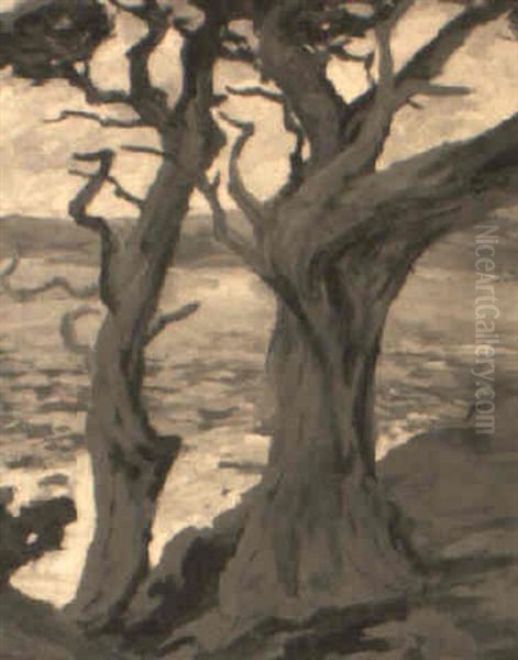 Old Guards: Cypress - view 1