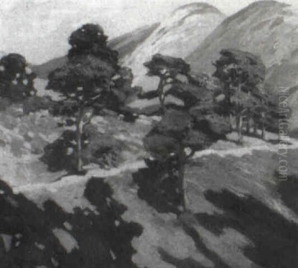 Sunlit Hillside - view 1
