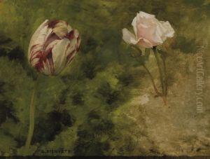 Tulipe Et Rose Tulipe Et Rose