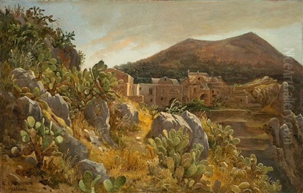 Hill With Opuntia Cacti, On The Island Of Capri - view 1