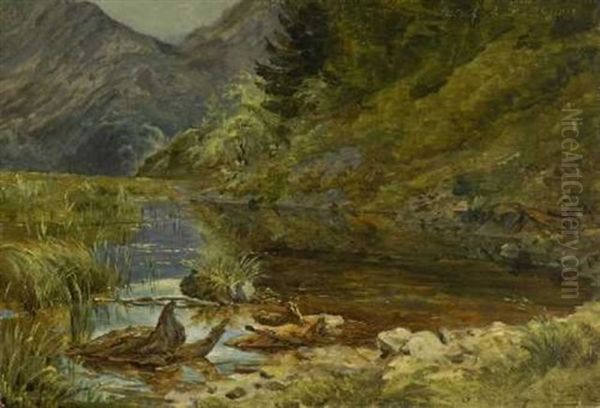 Bei Schlehdorf Am Kochelsee - view 1