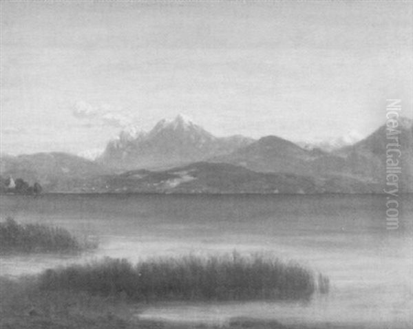 Voralpensee Mit Schneebedeckter Bergkulisse - view 1