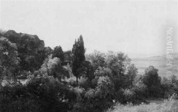 Landscape With Trees Overlooking The Field - view 1