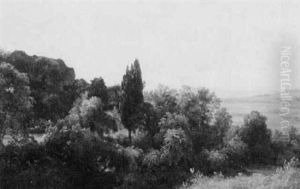 Landscape With Trees Overlooking The Field Landscape With Trees Overlooking The Field