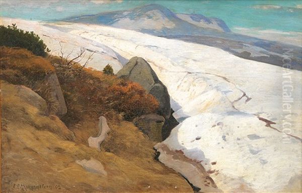 Schneefeld In Den Bergen - view 1