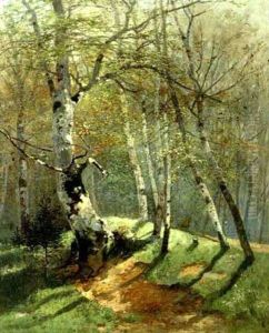 Sonniger Birkenwald Sonniger Birkenwald