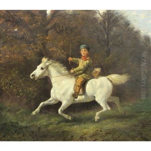 A Boy Riding A Gray Pony